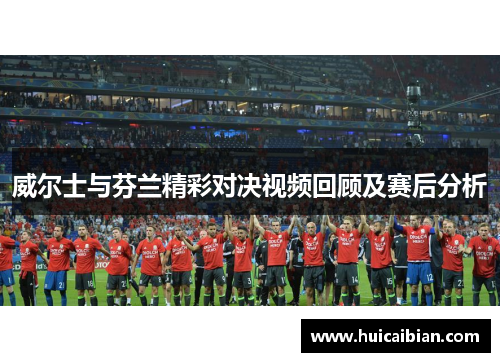威尔士与芬兰精彩对决视频回顾及赛后分析